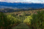 Cabernet Franc