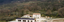 Moscato Baselice