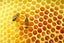 Chestnut Honey 250g