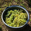 Quel De Sempre Sparkling White Wine 750ml