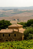 Brunello di Montalcino 2019