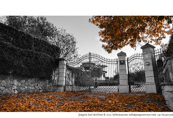 Fiano di Avellino Vino della Stella Riserva – Joaquin