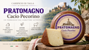 Cacio Pecorino Pratomagno Stagionato – Caseificio di Talla