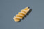 Tirrena Fusilli Pasta 500g