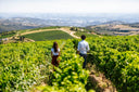 Amarone 2020