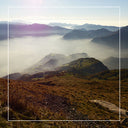 Cremoso Al Camembert Di Capra