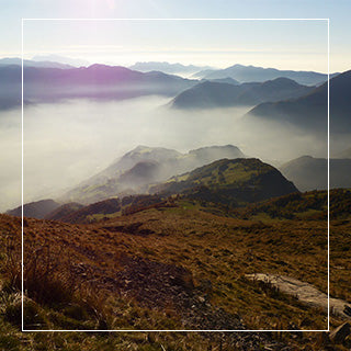 Gorgonzola PDO Slice