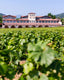 Brut Satèn Franciacorta Docg - 750ml