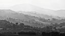 Verdicchio “Ylice” – Poderi Mattioli | Vino Bianco Marche Fresco e Minerale
