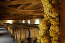 Pomino Vin Santo – Frescobaldi | Vino Dolce Toscano da Meditazione
