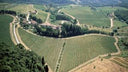 Pomino Vin Santo – Frescobaldi | Vino Dolce Toscano da Meditazione