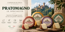 Cacio Pecorino Pratomagno Stagionato – Caseificio di Talla