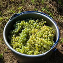 Quel De Sempre Sparkling White Wine 750ml