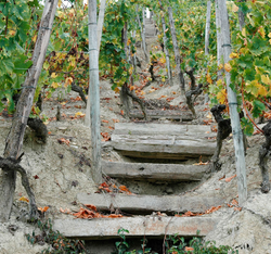 Francesco Galliano Blanc Brut Classic Method Magnum