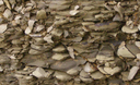 Ribolla Gialla Reserve