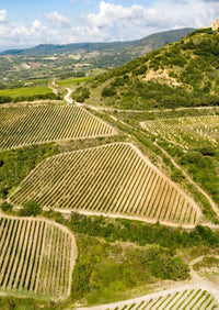 Brunello di Montalcino