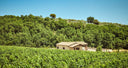 Vino Nobile