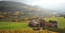 Gewürztraminer “Gols” – Griesserhof | Vino Bianco Alto Adige Aromatico