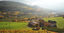 Gewürztraminer