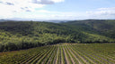 La Porta di Vertine – Bertinga | Chianti Classico Sangiovese