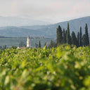 Fiore di Campo Gold – Lis Neris | Vino Bianco Friuli Venezia Giulia