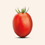 Tomato Puree 690gr
