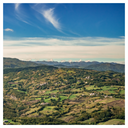 Parmigiano Reggiano DOP 36 Months