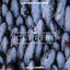 Salted Sardines 100 g