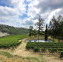 Franciacorta Brut DOCG – 1701 | Metodo Classico Biodinamico
