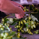 Lucid Dream Beer 33cl