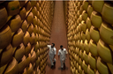 Parmigiano Reggiano Dop V. Brune