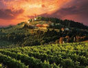 Nipozzano Riserva Vecchie Viti – Frescobaldi | Chianti Rufina DOCG
