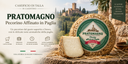 Pecorino Cheese Aged Under Straw
