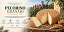 Aged Pecorino Cheese from Pratomagno Grain
