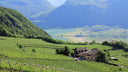 Unterebner Pinot Grigio Tramin vino bianco Alto Adige strutturato elegante