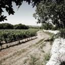 Five Rosé Anniversario – Leone de Castris | Rosato di Puglia Storico