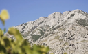 Caudium – Masseria Frattasi | Vino Rosso del Sannio Campano