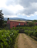 Spumante Blanc Brut – Terrazze dell’Etna | Metodo Classico Chardonnay