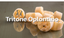 Tritone Oplontino Marulo 500 gr