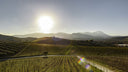 Passerina Colline Pescaresi IGP 2023 – Ciavolich | Vino Bianco d’Abruzzo