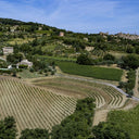 Brunello di Montalcino