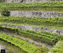 Hambros Teroldego Passito – Villa Corniole | Vino Dolce Trentino Raro