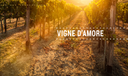 Villa Diamante Fiano di Avellino vino bianco campano complesso