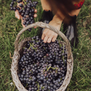 Lambrusco di Sorbara Metodo Classico 36 Mesi – Silvia Zucchi
